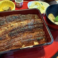 炭焼 うな富士 天白別邸 - 