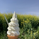 タンポポ - 菜の花畑をバックに