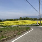 タンポポ - お店からの帰り道