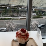 かき氷コレクション・バトン - 