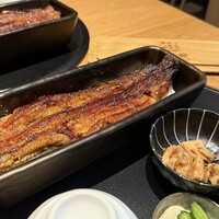 うなぎ四代目菊川 ムスブ田町店 - 