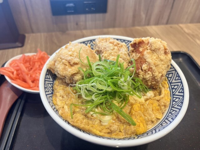 Yoshinoya Kawasaki Kaido Yanoguchi Ten