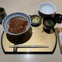 うなぎ 目白ぞろ芽 - 