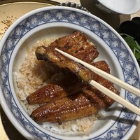 うなぎ 目白ぞろ芽 - 