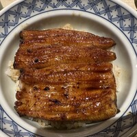 うなぎ 目白ぞろ芽 - 