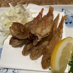 助格 - 