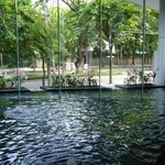 The Athenee Hotel a Luxury Collection Hotel - 