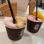 プレミアム マリオジェラテリア - 『クレームブリュレ＋リコッタチーズラズベリー』『ベリーストロベリー＋清見オレンジマンゴー』各520円