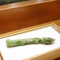 天婦羅 みやしろ - 