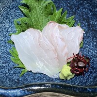 魚菜由良 鼎 - すずきの刺身