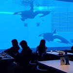 ブルーオーシャン - 