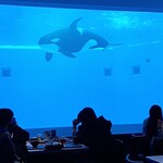 ブルーオーシャン - 