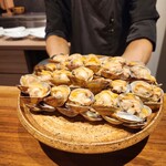 イル アオヤマ - 