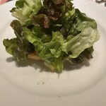 ビストロ ハルミドオリ ニジュウハチ - 