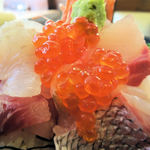 味処 佐とう - いくらに真鯛にハマチ