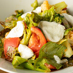 AngelFakeLEGAME - モッツァレラチーズとゴロゴロ野菜のサラダ