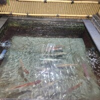 博多料亭 稚加榮 - 