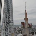 天空LOUNGE TOP of TREE - 