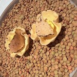 ヴォーロ・コズィ - 