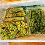 あづみ野食品 - タラの芽、フキノトウ、コゴミです。