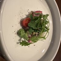 le・sud - 