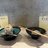 CINA New Modern Chinese - 