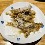 洋食 おがた - マメアジのフリット