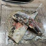 ラ クッチャーラ デ ドノスティア - 