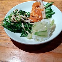 雪梅花 菜根譚 - 