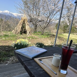 カフェテラス モモ_0