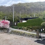 麓庵 かつ玄 - 駐車場