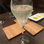 オッジ ダルマット - 