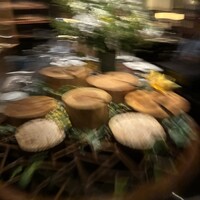XEX TOKYO / Salvatore Cuomo Bros. - 