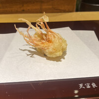 天冨良 よこ田 - 