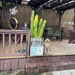 肉や食堂inへんざ - 