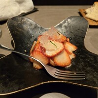 オッジ ダルマット 西麻布店 - 