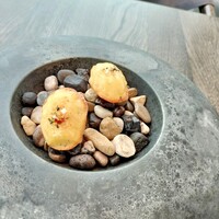 Restaurant Bellustar - 