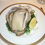 アピシウス - 巨大な岩牡蠣