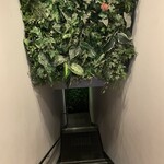 心斎橋イタリアンレストラン ルサンク - 