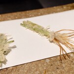 天ぷら 中村 - せり（葉っぱと根っこ）