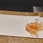 天ぷら 中村 - 車海老（頭せんべい）