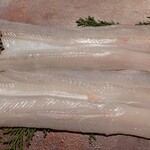 天ぷら 中村 - 本日の食材④