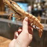 炭火焼きリリー - 