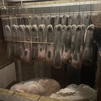 大東園 離れ 祇園亭 - 