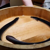 うなぎと炭焼 久松 - 浜名湖のイソフラボン鰻