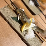 旨飯よか酒 ナナホシテントウ - 