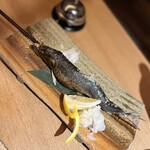 旨飯よか酒 ナナホシテントウ - 