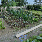 Flocons de Sel - 冷蔵個がわりの菜園