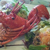 中納言 千日前味楽館 - サラダ：これでお腹が凄く膨れますｗ