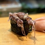 寿し辰 - ホタルイカ軍艦
      ぷくぷくのホタルイカの身、その軍艦巻きをひと口で頬張る幸せ♡( ^ω^ )